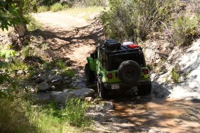 DSC_5907 (Large).JPG